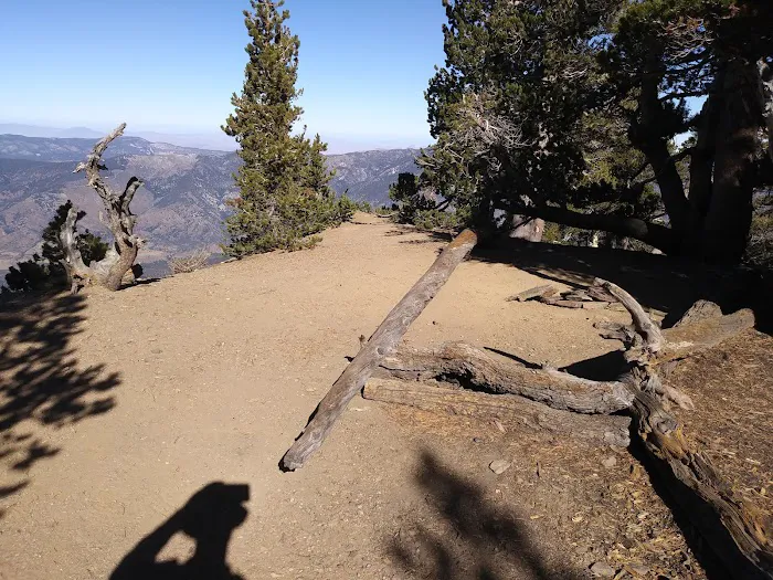 Trail Fork Springs Campground Picture 9