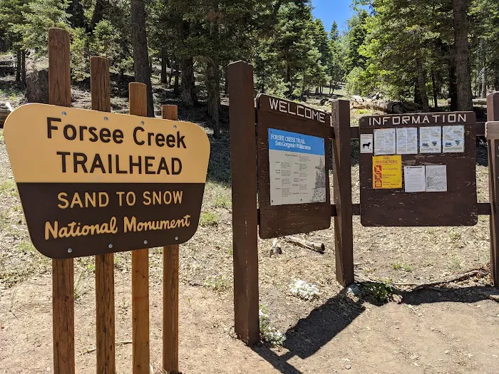 Trail Fork Springs Campground Picture 6