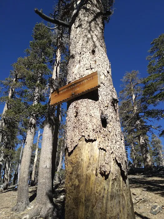 Trail Fork Springs Campground Picture 1