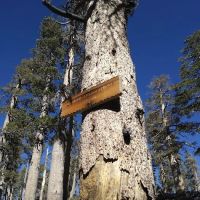 Trail Fork Springs Campground ico