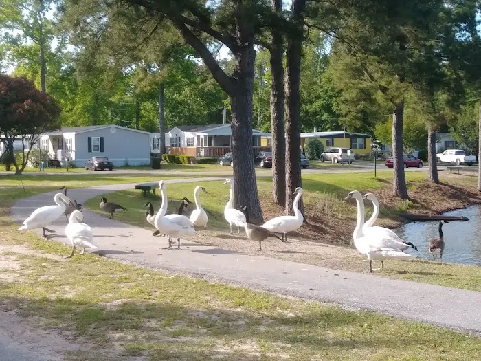 Crystal Lake Mobile Home Village Picture 8