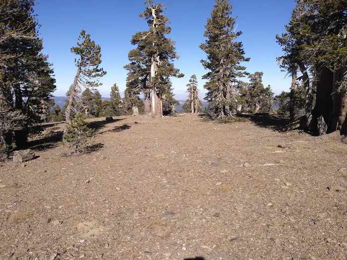 Anderson Flat Campground Picture 5