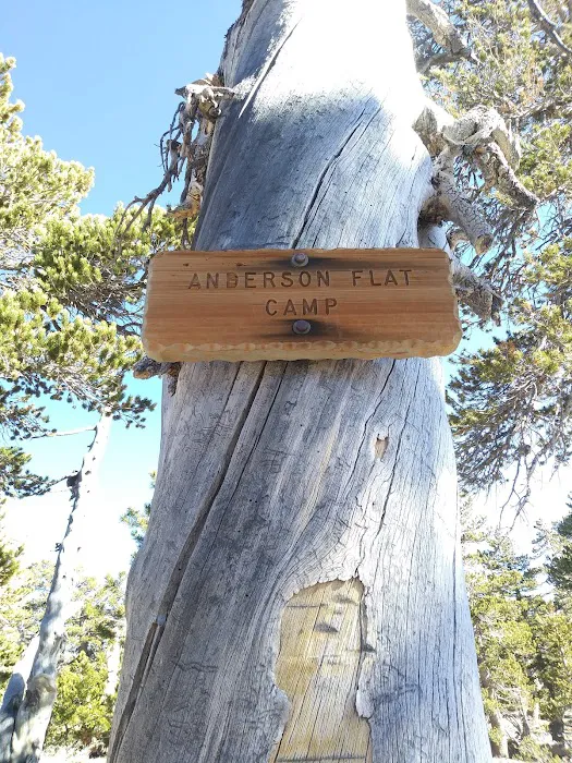 Anderson Flat Campground Picture 3