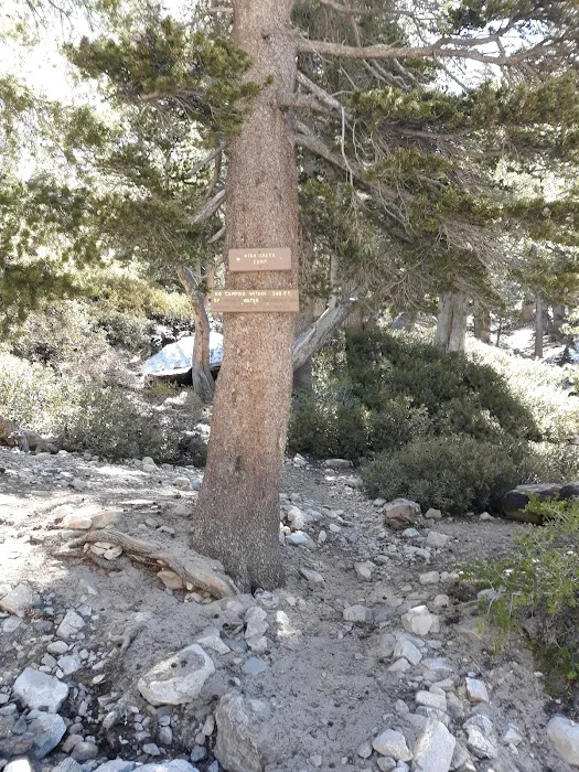 High Creek Camp Picture 5