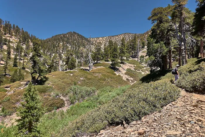 High Creek Camp Picture 10
