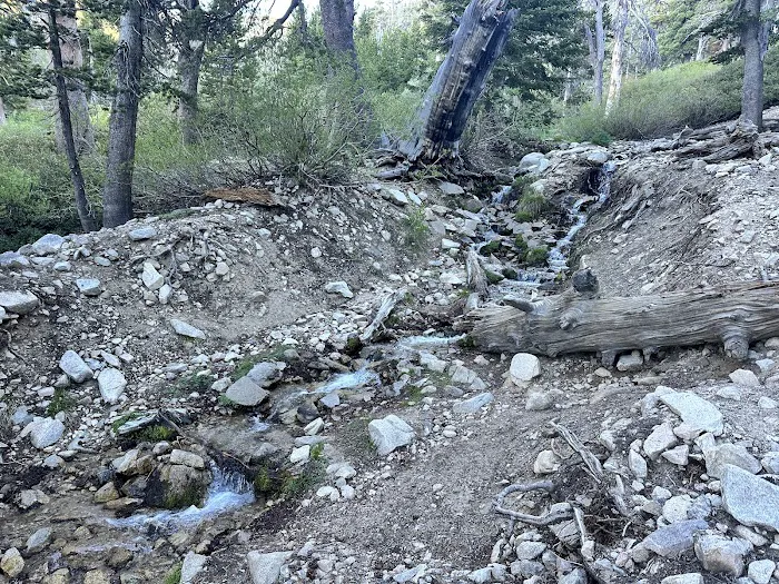 High Creek Camp Picture 9