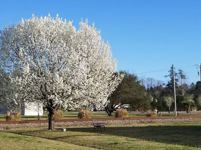 Saddlebrook Mobile Home Park Picture 3