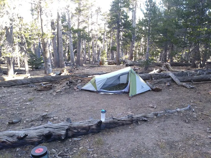 Jackstraw Springs Picture 2