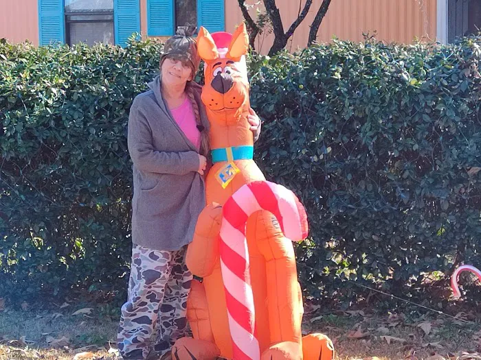 Green Dolphin Mobile Home Park Picture 5
