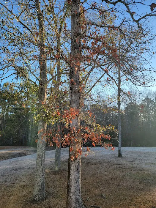 Brookgreen Mobile Home Rentals Picture 2