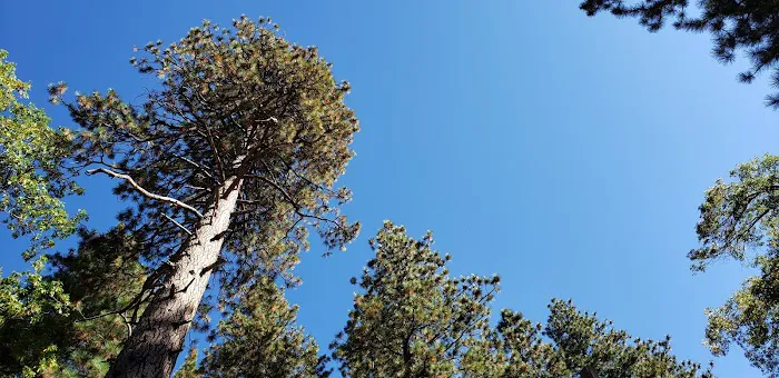 Camp Marcil at Round Meadow Picture 2