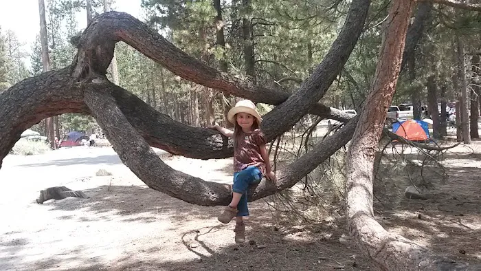 Council Group Campground Picture 6