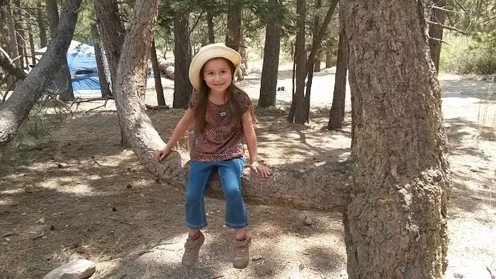 Council Group Campground Picture 2