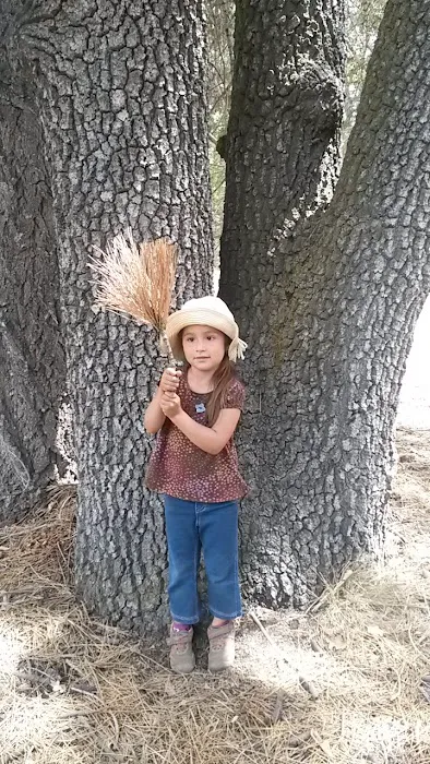 Council Group Campground Picture 9