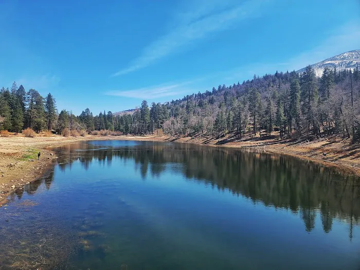 Barton Flats Campground Picture 4