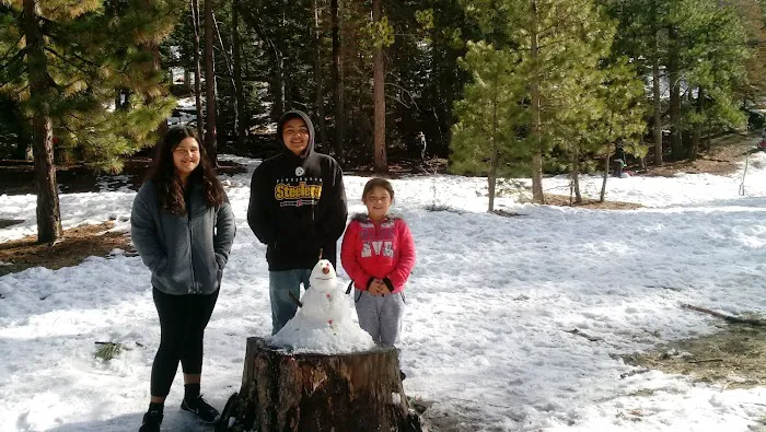 Barton Flats Campground Picture 1
