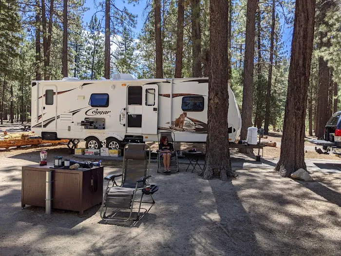 Barton Flats Campground Picture 5