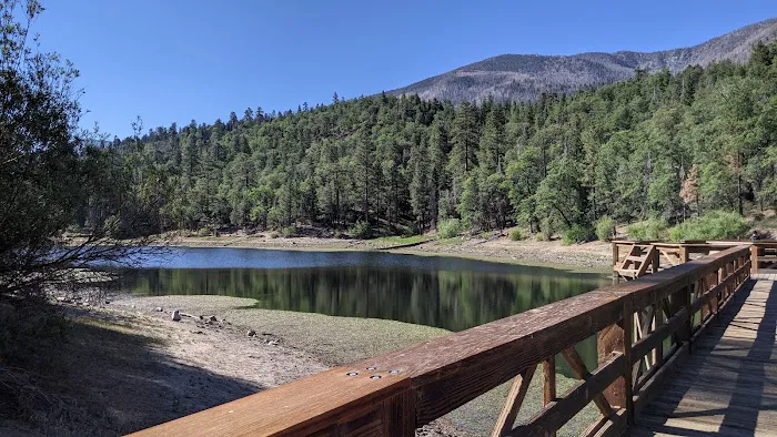 Barton Flats Campground Picture 3