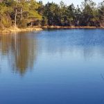 Ashlyn Estates Manufactured Home Community