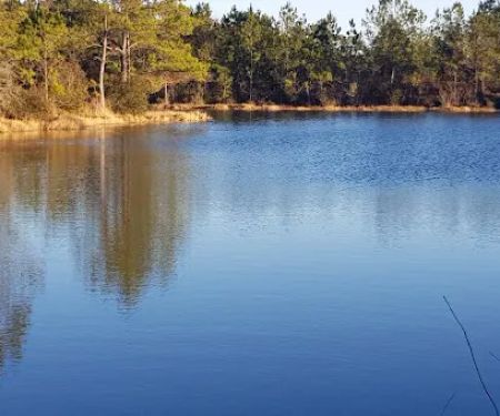 Ashlyn Estates Manufactured Home Community