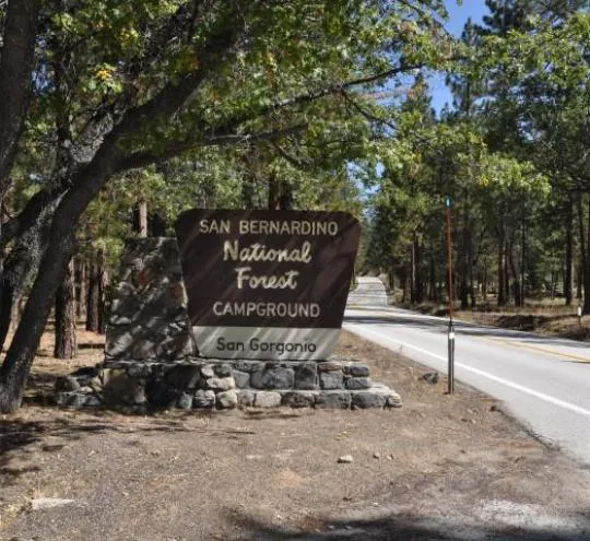 San Gorgonio Family Campground Picture 10