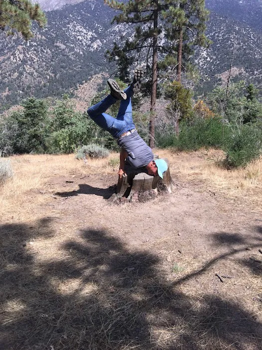 San Gorgonio Family Campground Picture 8
