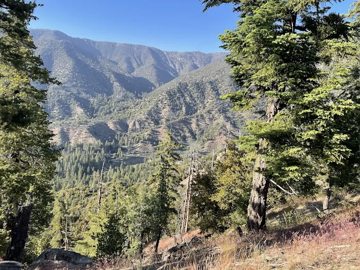 San Gorgonio Family Campground Picture 9