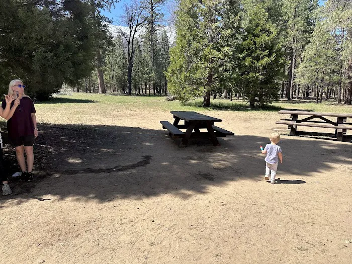 San Gorgonio Family Campground Picture 3