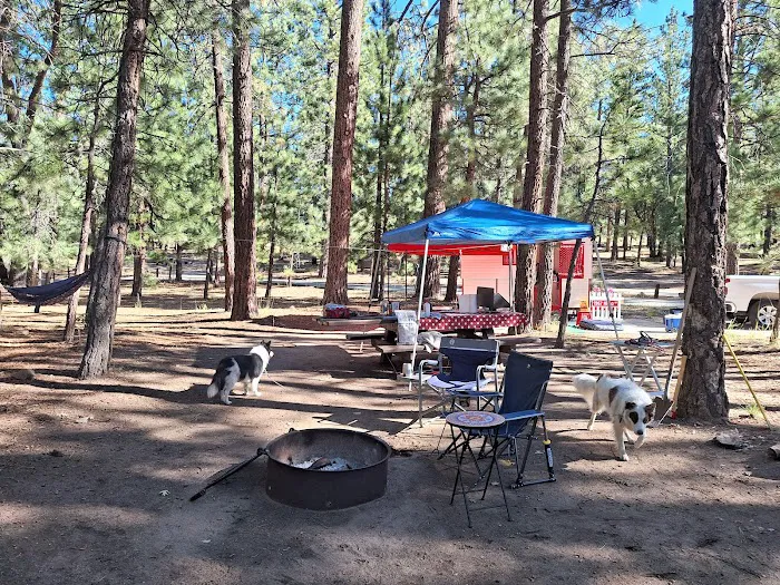 San Gorgonio Family Campground Picture 5