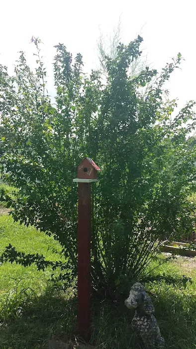 R & R Mobile Home Park Picture 4