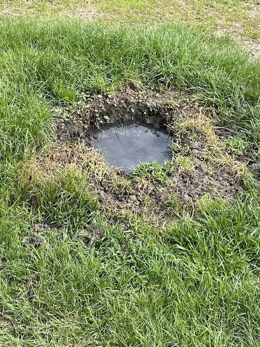 R & R Mobile Home Park Picture 10