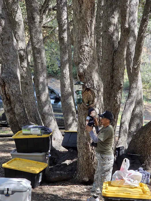 Limestone Campground Picture 1
