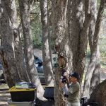 Limestone Campground