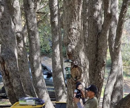 Limestone Campground