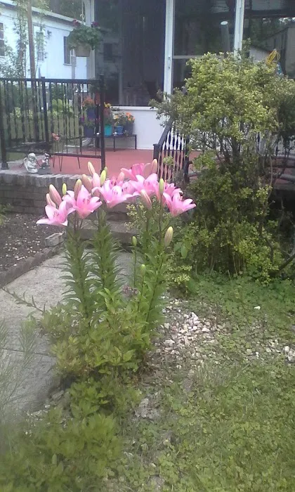 Alpine Village Picture 9