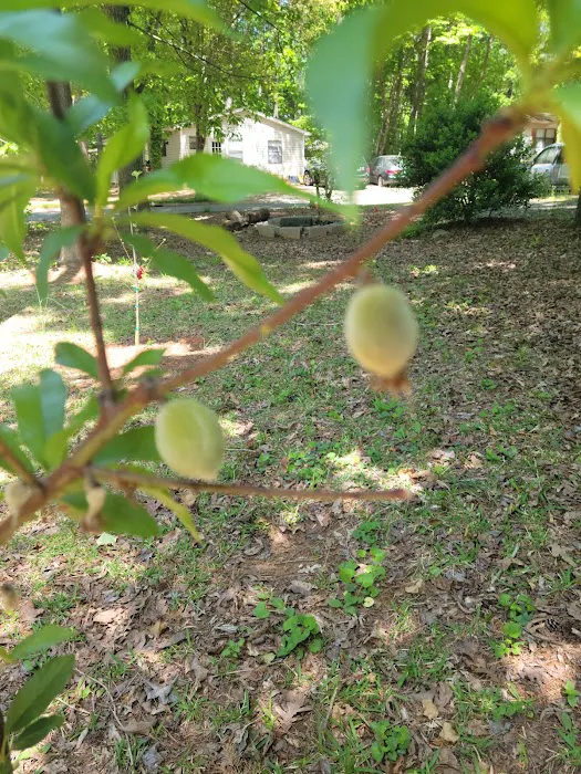 Woodward Village Picture 2