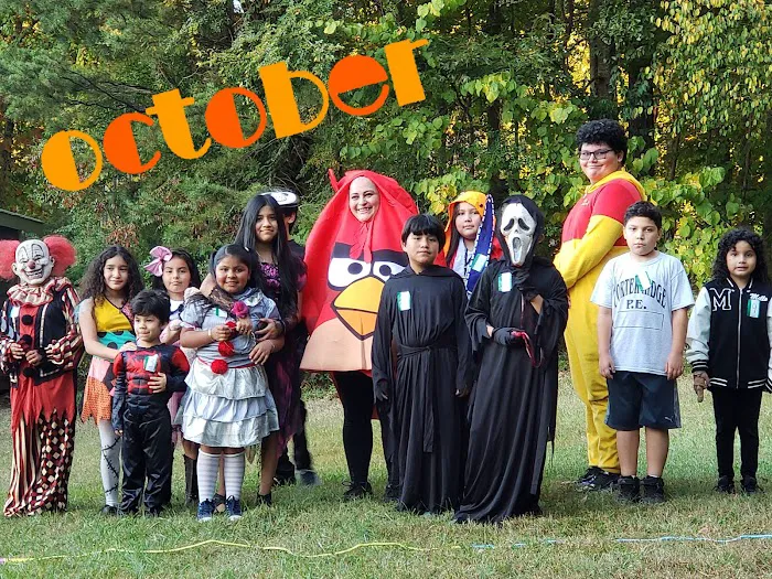 Woodward Village Picture 6