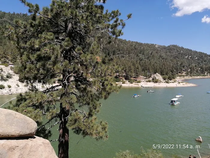 Big Bear Mountain Resort Picture 9