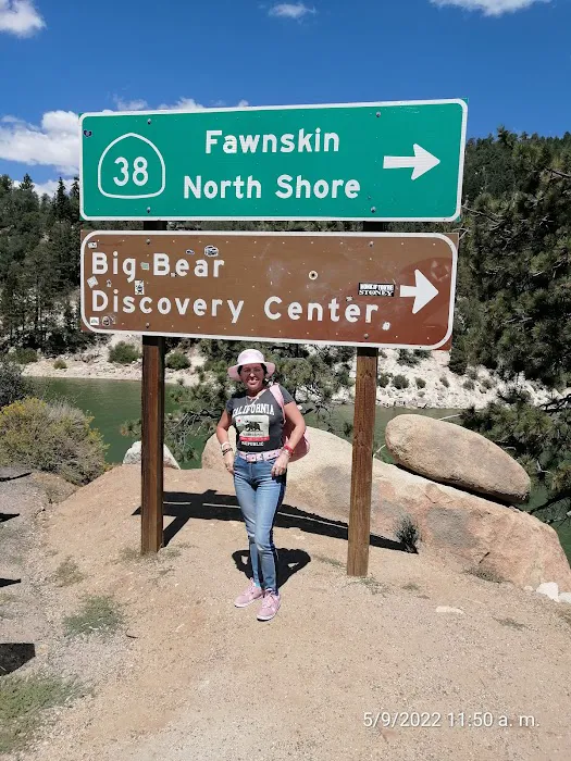 Big Bear Mountain Resort Picture 10