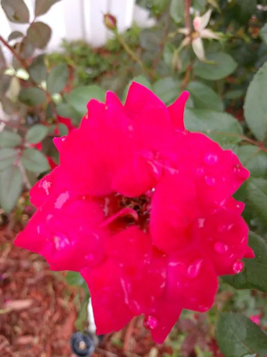 Oakland Glen Manufactured Home Community Picture 2