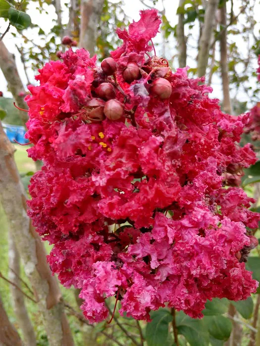 Oakland Glen Manufactured Home Community Picture 9