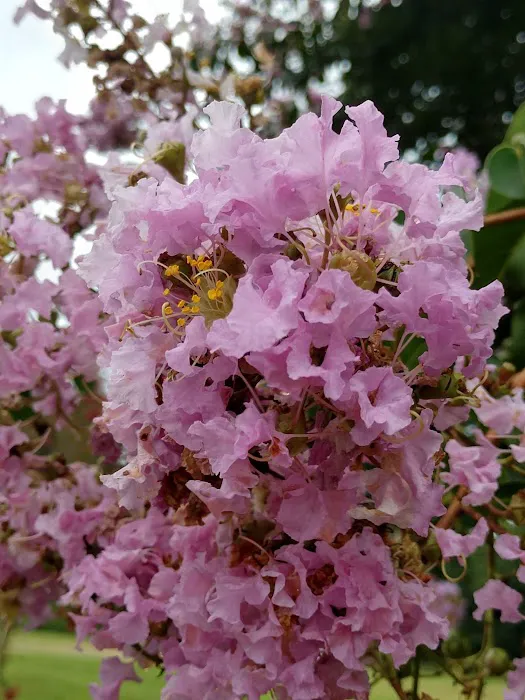 Oakland Glen Manufactured Home Community Picture 5