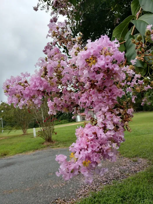 Oakland Glen Manufactured Home Community Picture 7