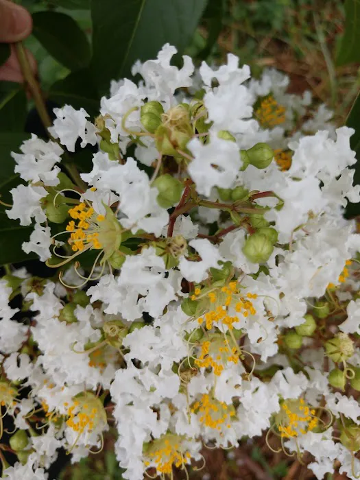 Oakland Glen Manufactured Home Community Picture 6