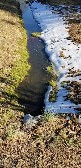 Oakland Glen Manufactured Home Community Picture 8