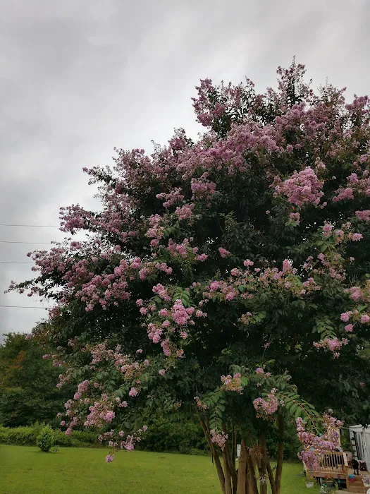 Oakland Glen Manufactured Home Community Picture 10