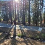 Pineknot Campground