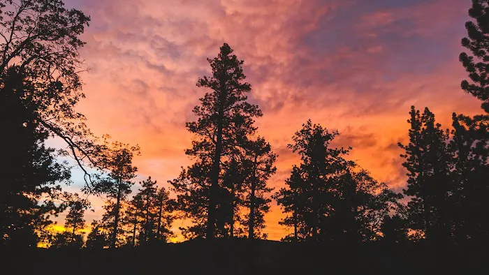 Pineknot Campground Picture 4