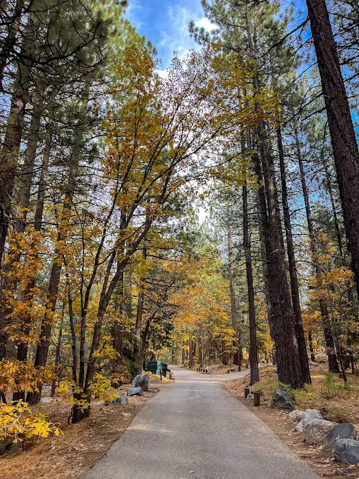 Pineknot Campground Picture 6