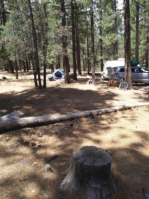 Buttercup Group Campground Picture 5